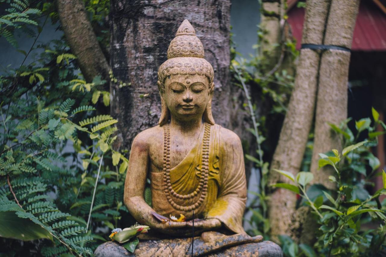 Nawa Sakti Ubud Suite 외부 사진